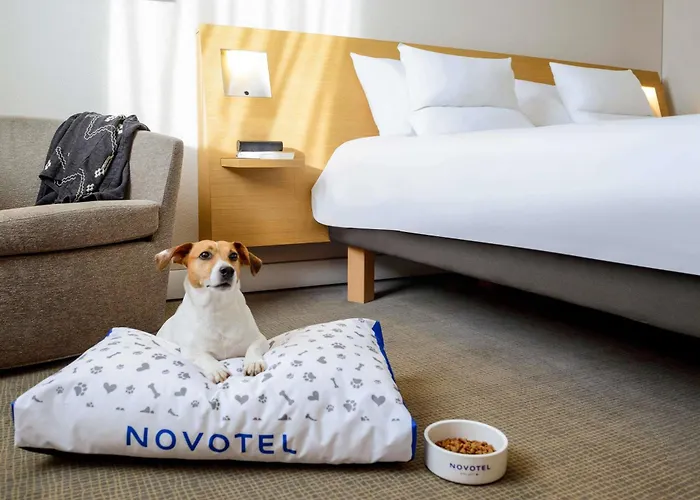 Hotel Novotel Milano Malpensa Aeroporto 4*